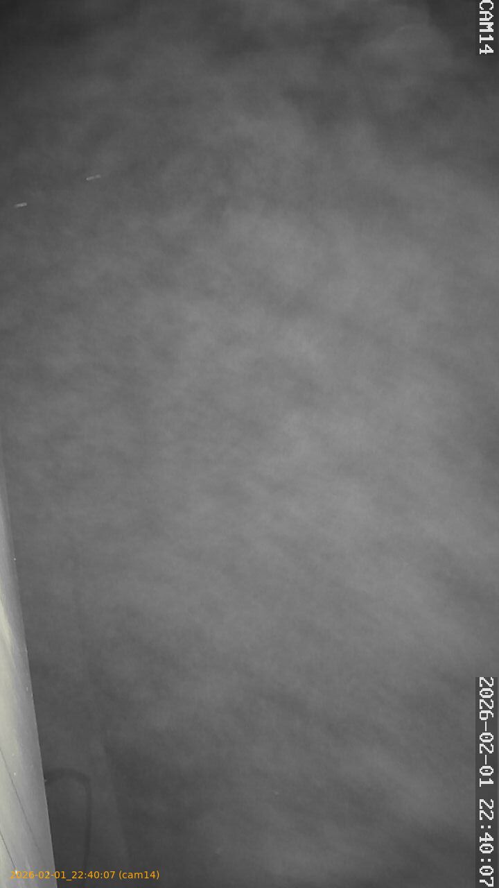 thumbnail_20260201224007