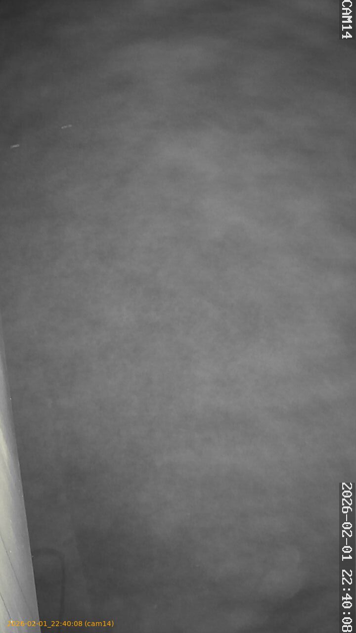 thumbnail_20260201224008