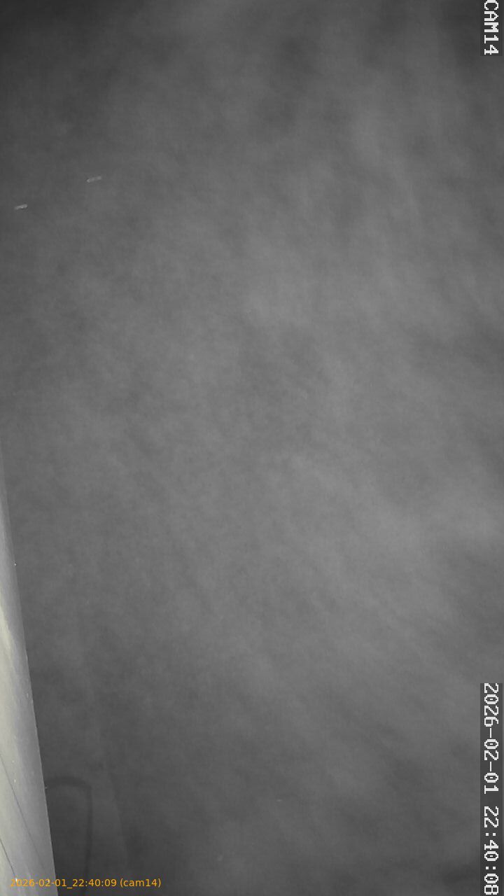 thumbnail_20260201224009