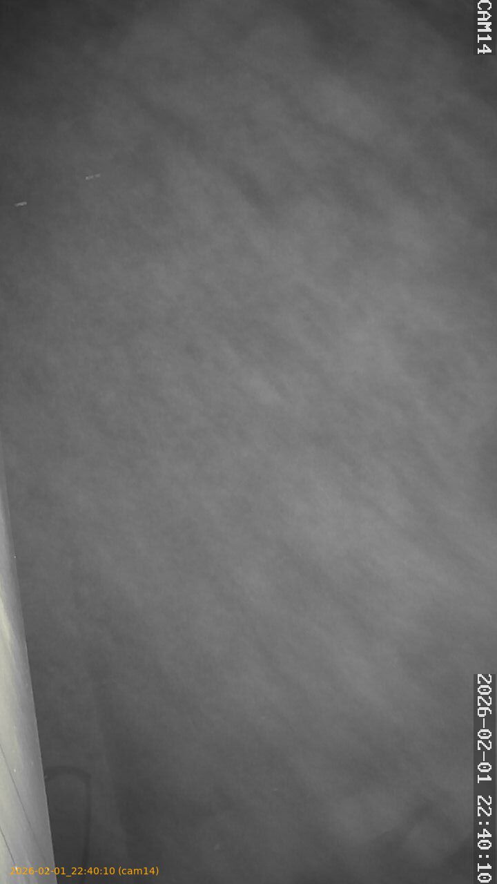 thumbnail_20260201224010