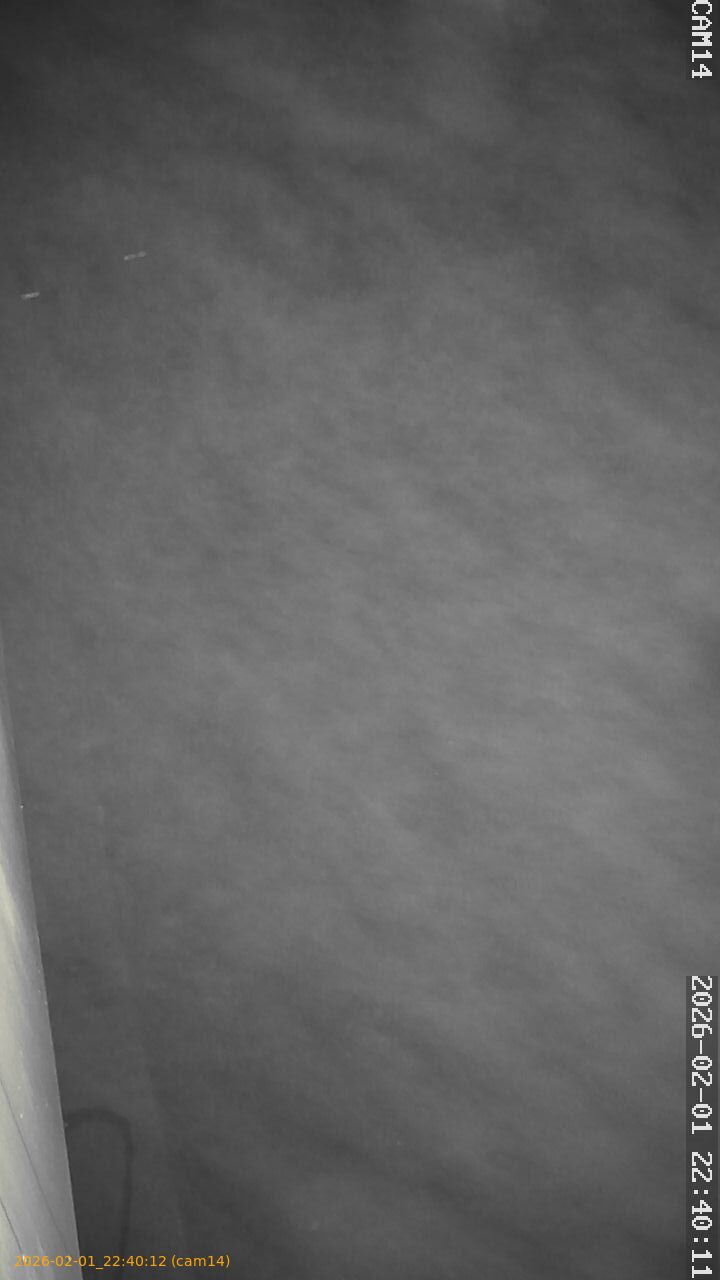 thumbnail_20260201224012