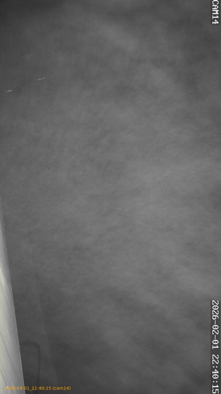 thumbnail_20260201224015