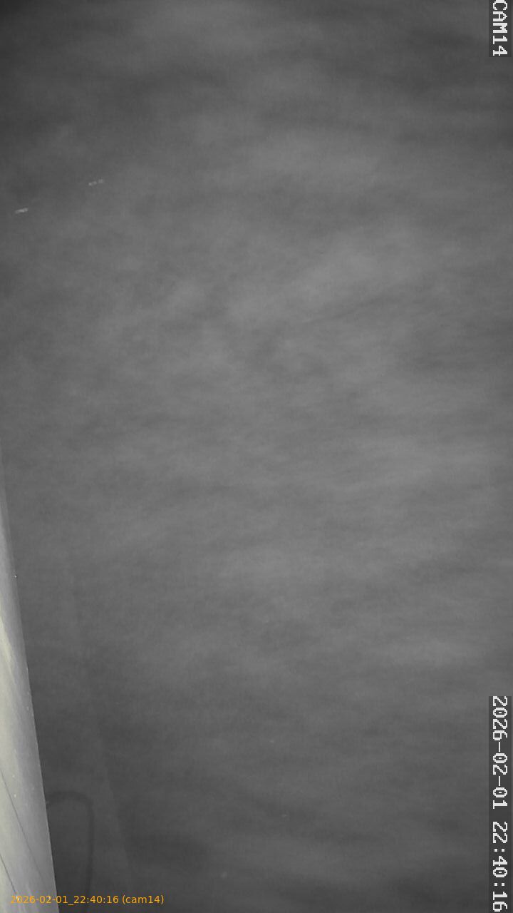 thumbnail_20260201224016