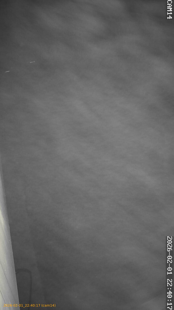 thumbnail_20260201224017