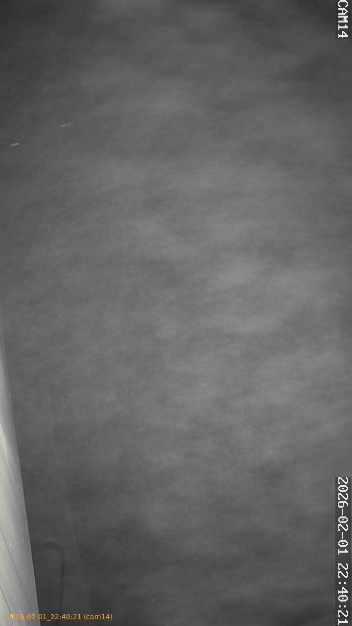 thumbnail_20260201224021