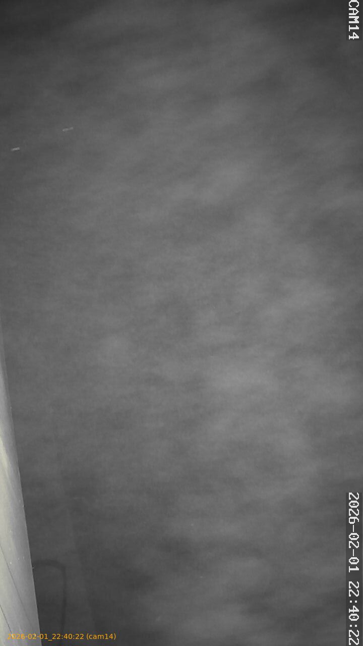 thumbnail_20260201224022