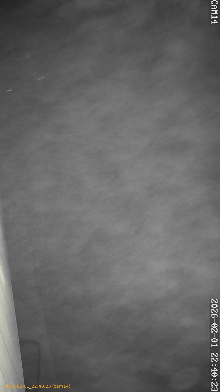 thumbnail_20260201224023