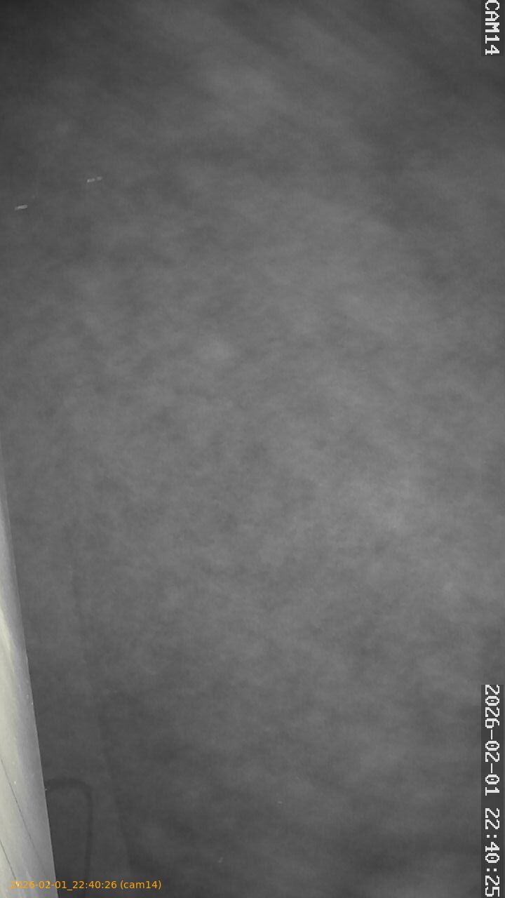 thumbnail_20260201224026