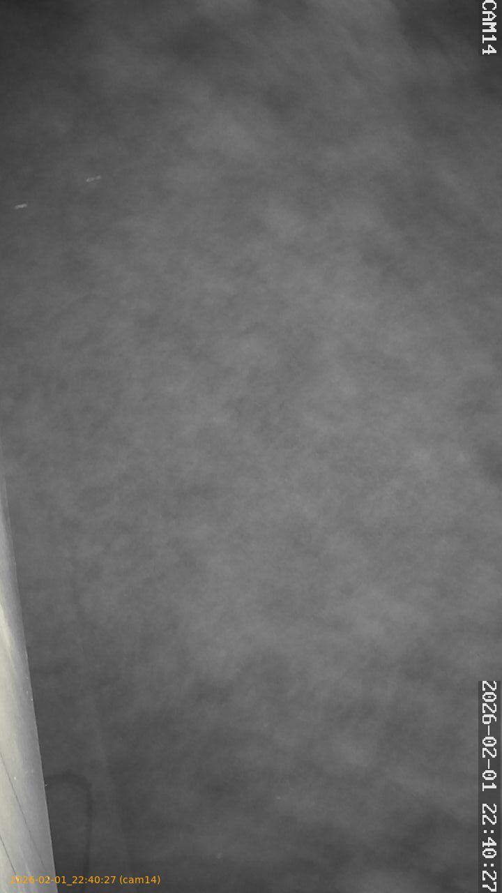 thumbnail_20260201224027