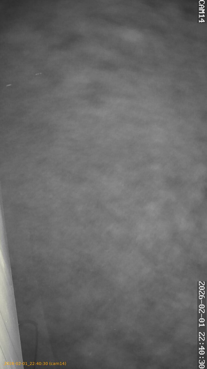 thumbnail_20260201224030