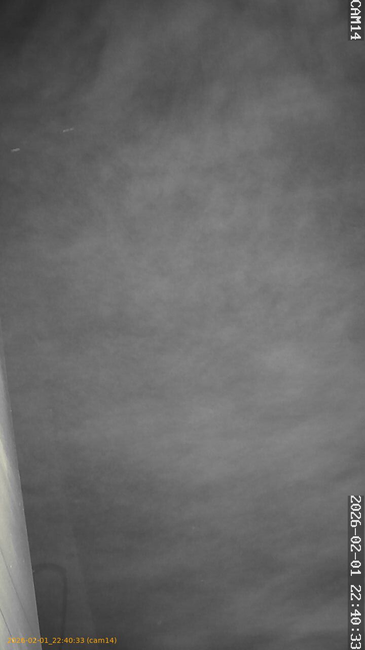 thumbnail_20260201224033