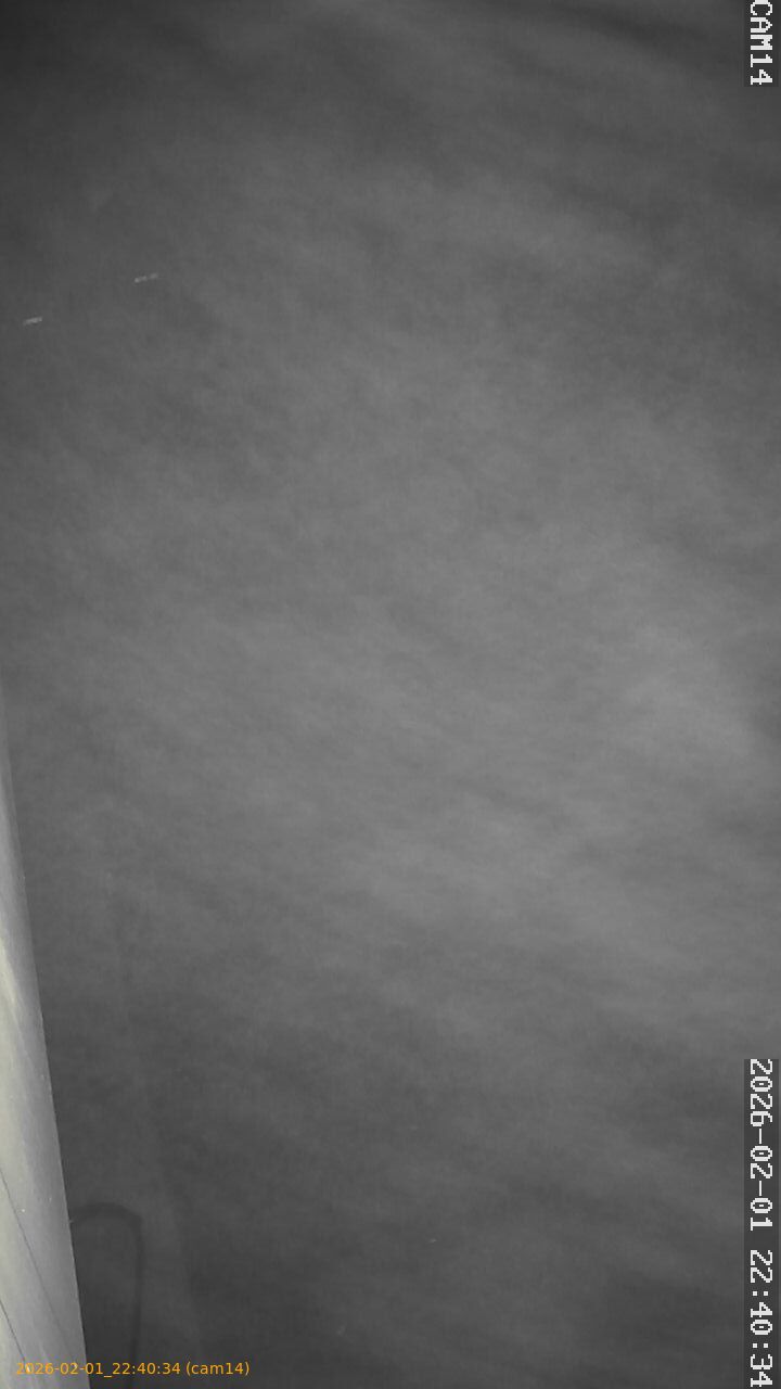 thumbnail_20260201224034