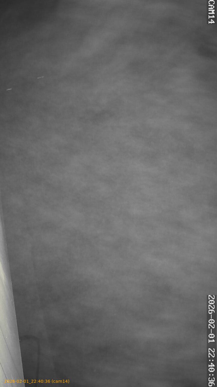 thumbnail_20260201224036