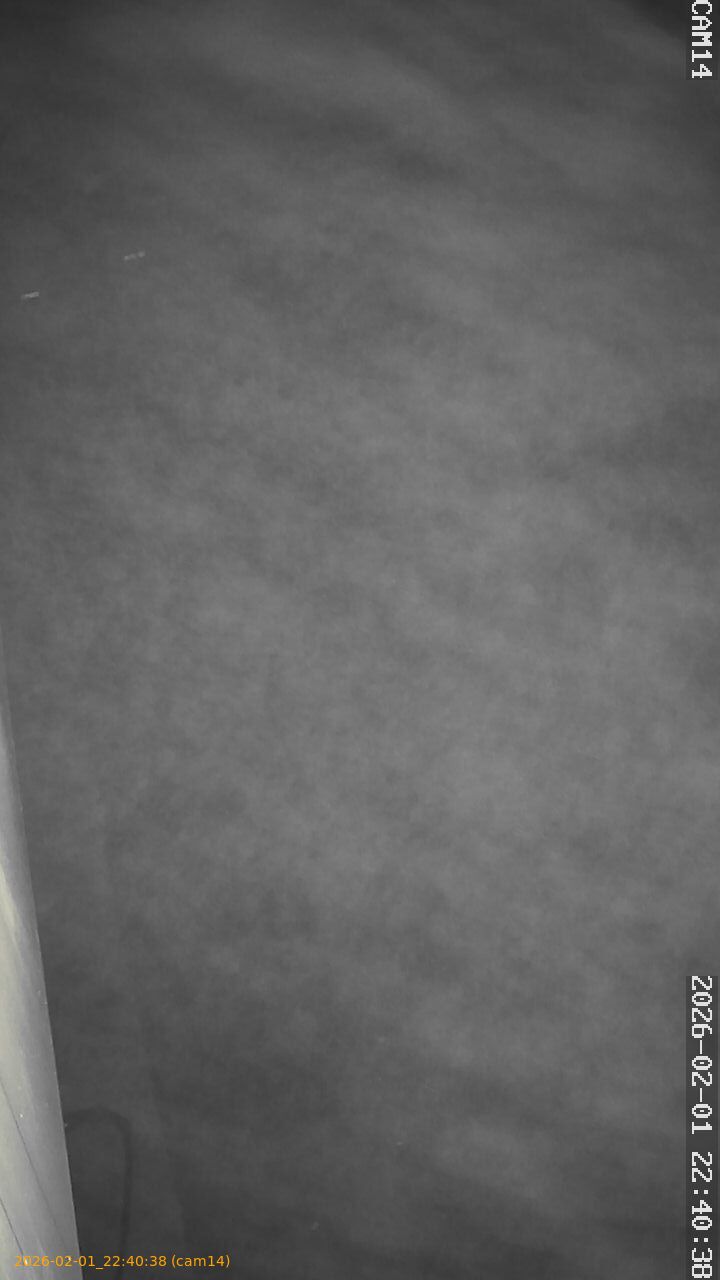 thumbnail_20260201224038