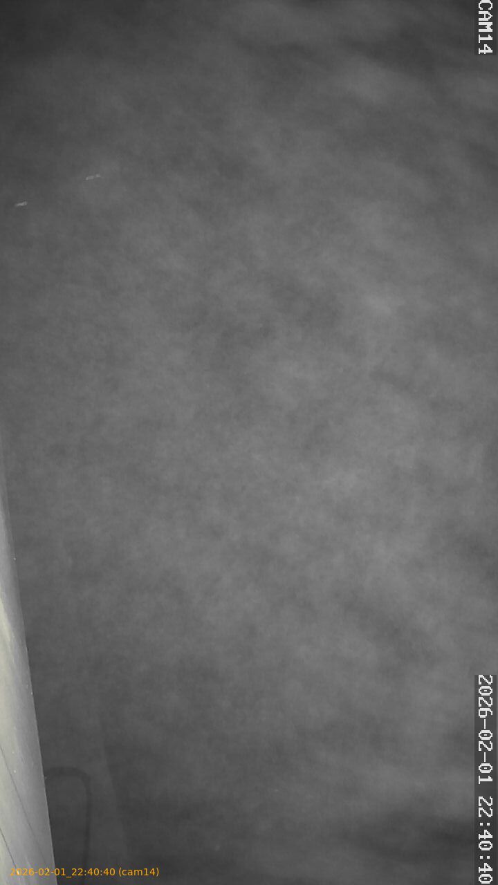 thumbnail_20260201224040