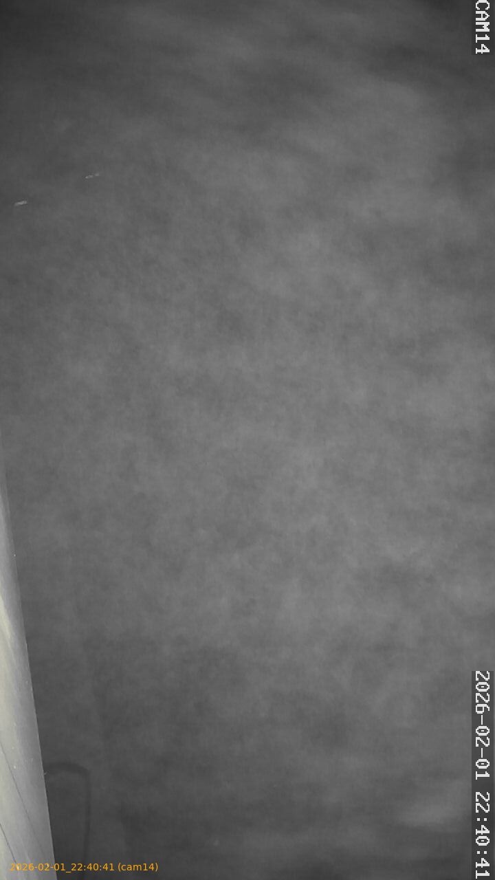 thumbnail_20260201224041