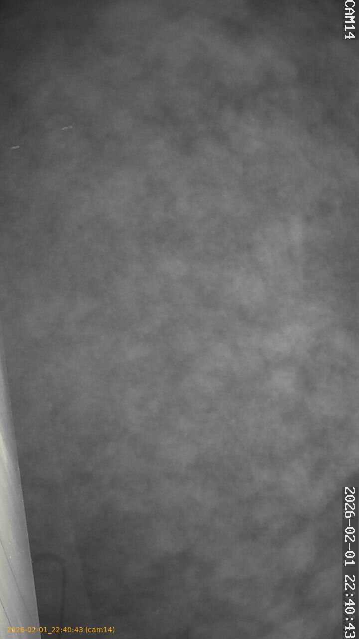 thumbnail_20260201224043