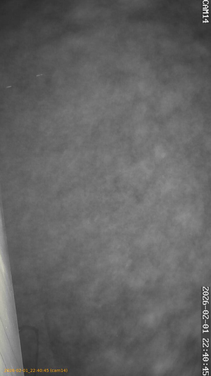 thumbnail_20260201224045