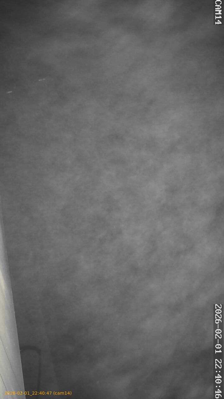 thumbnail_20260201224046