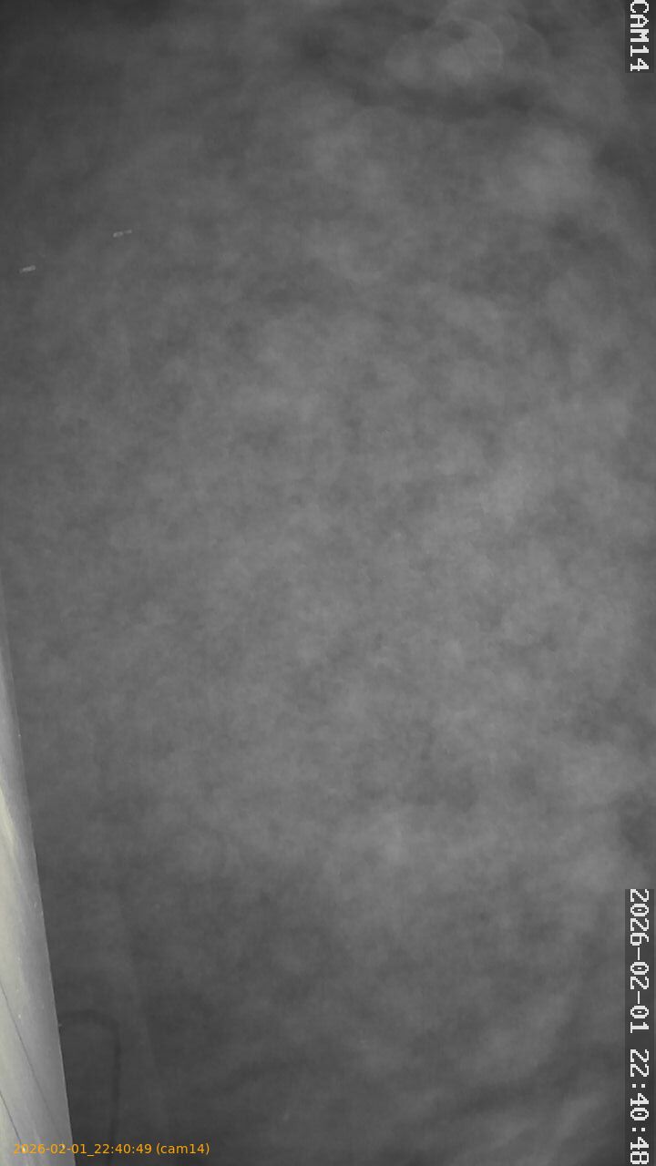 thumbnail_20260201224048