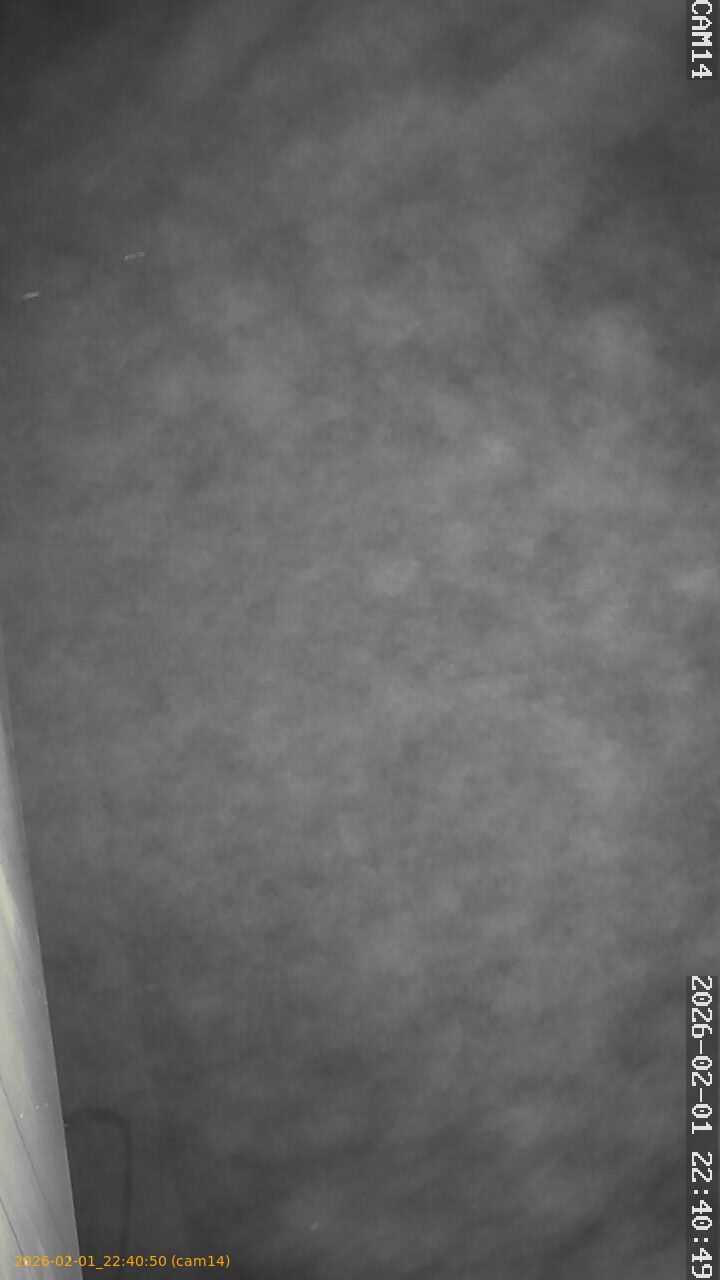 thumbnail_20260201224050