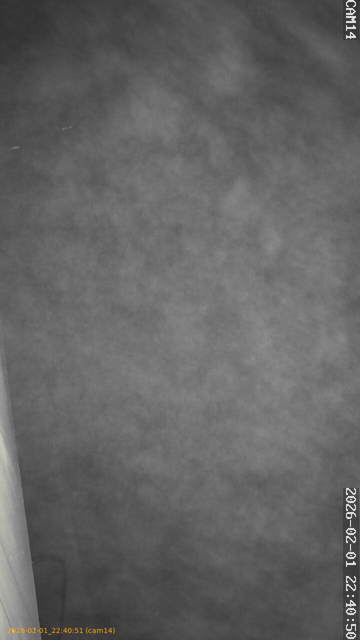 thumbnail_20260201224051