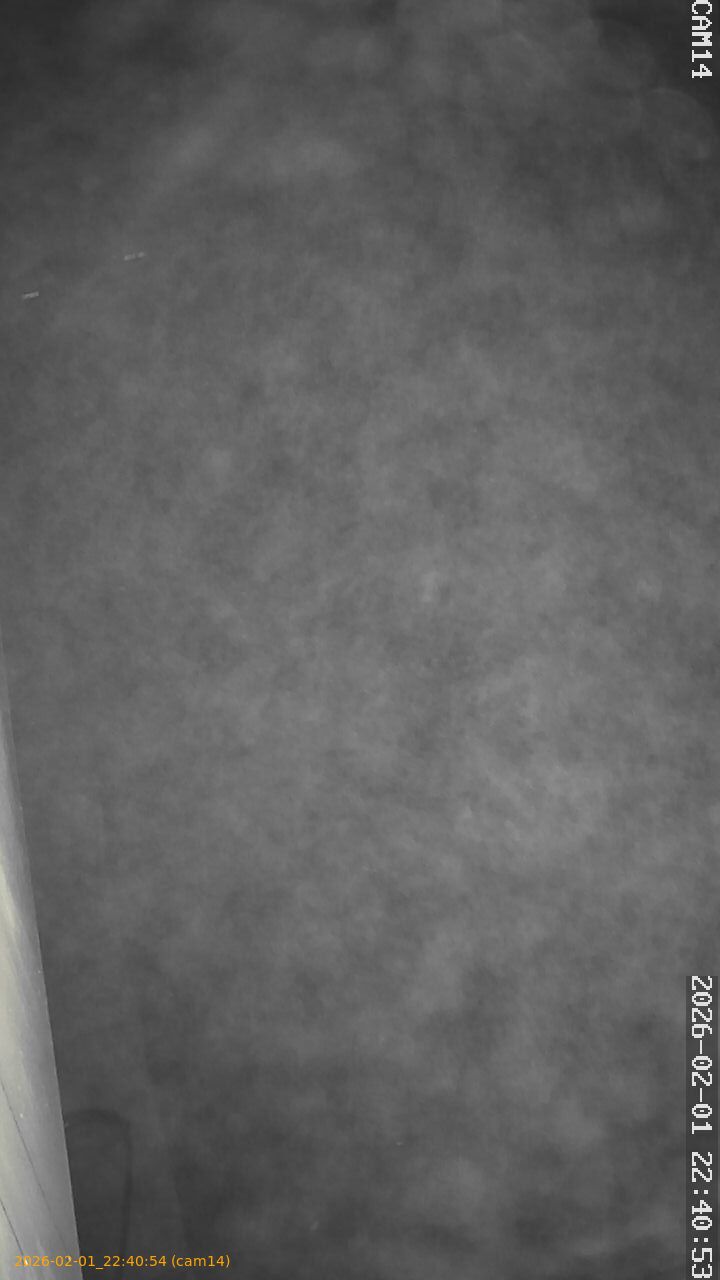 thumbnail_20260201224054