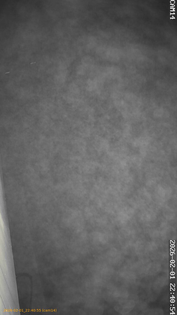 thumbnail_20260201224055