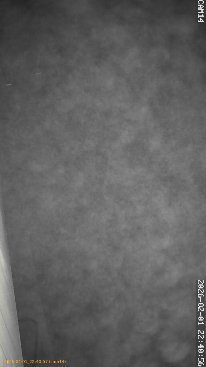 thumbnail_20260201224057