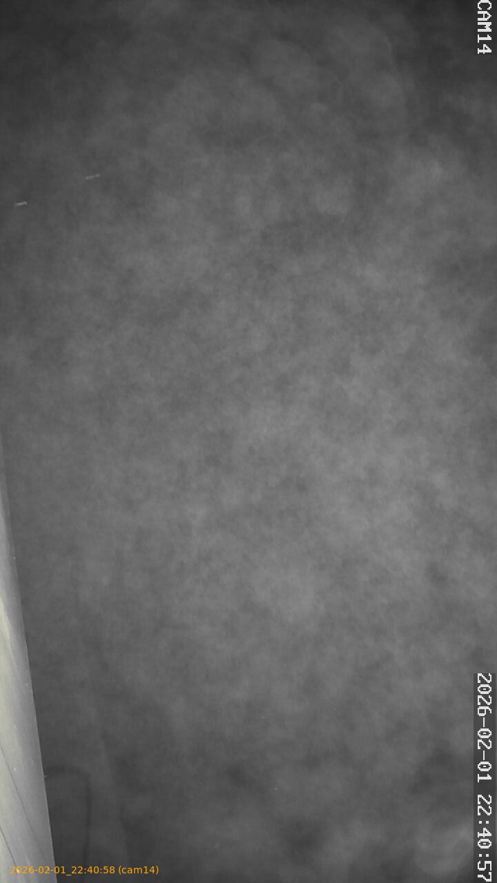 thumbnail_20260201224058