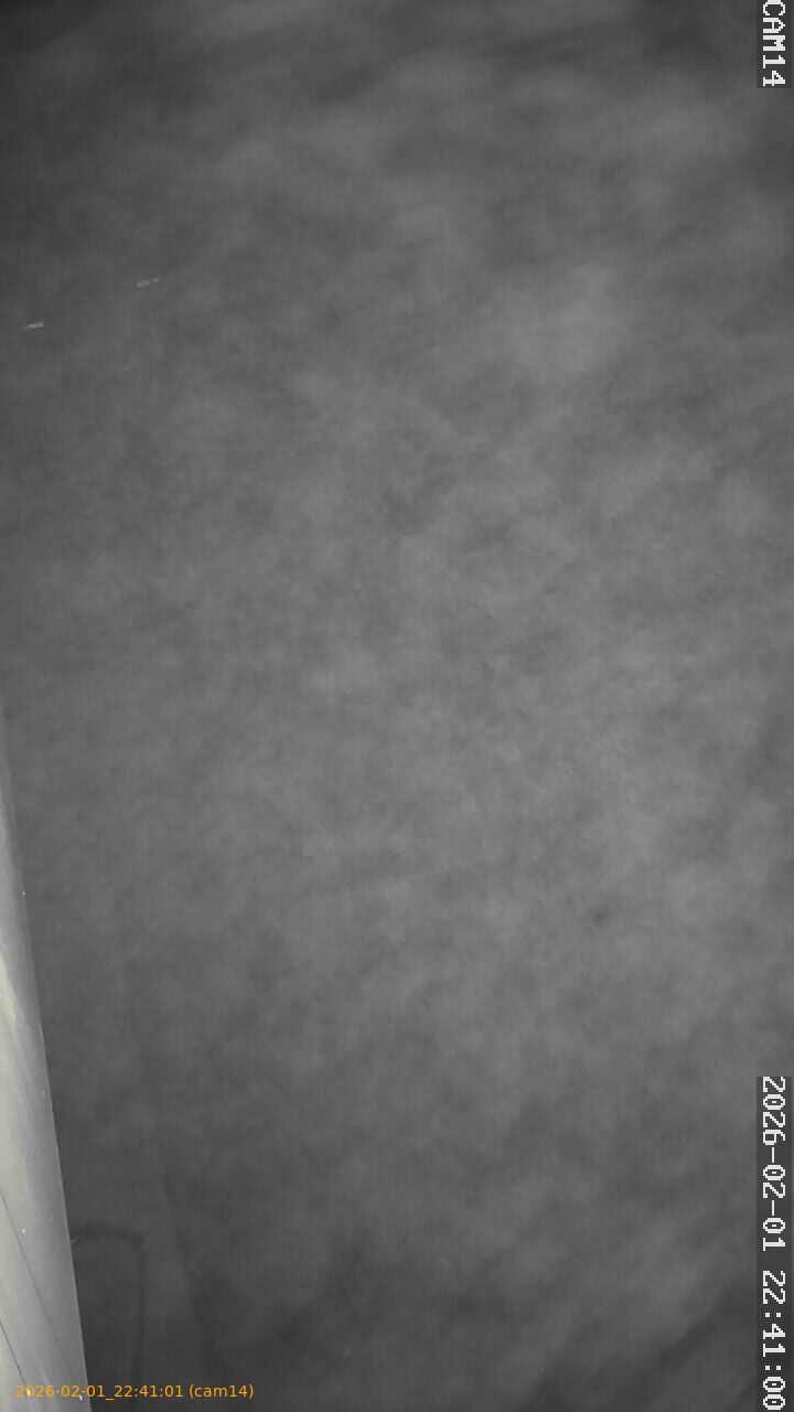 thumbnail_20260201224101