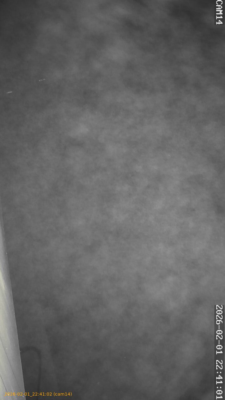 thumbnail_20260201224102