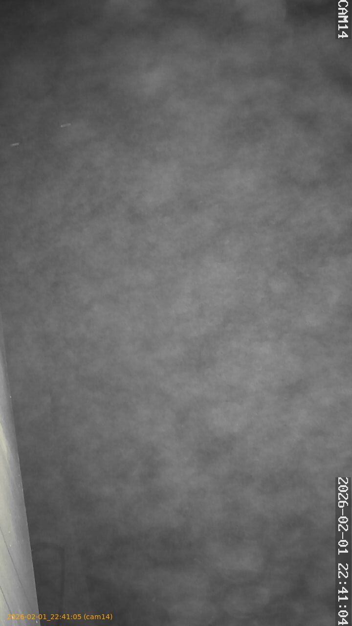 thumbnail_20260201224105