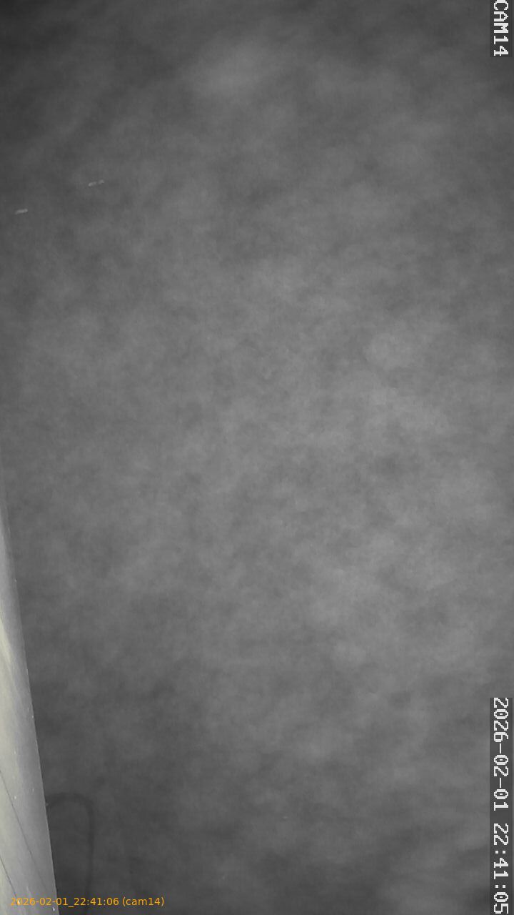 thumbnail_20260201224106