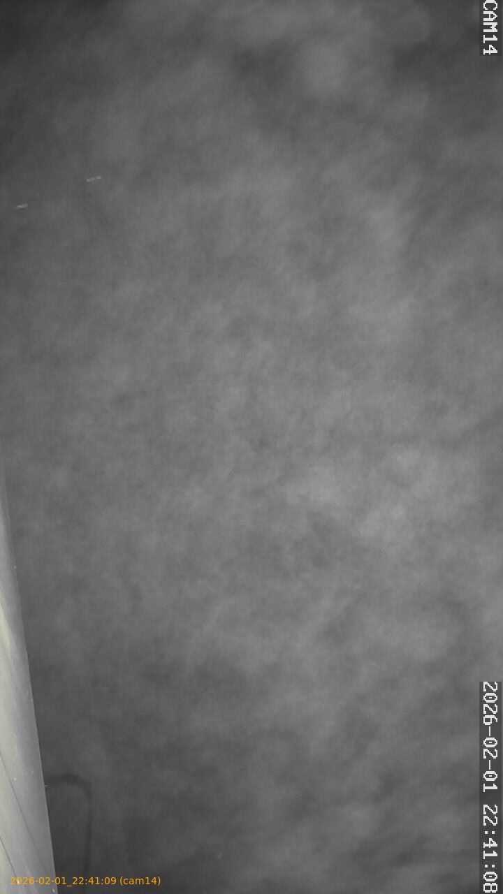 thumbnail_20260201224109