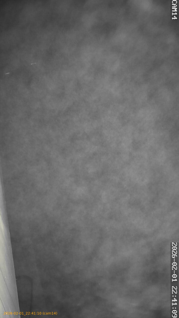 thumbnail_20260201224110