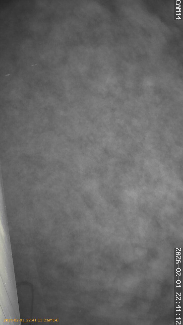 thumbnail_20260201224113