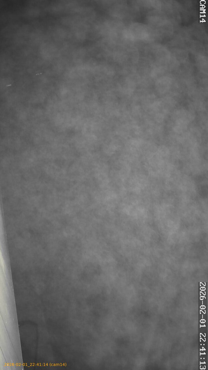 thumbnail_20260201224114