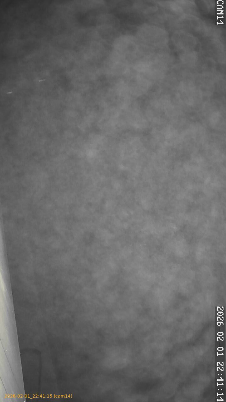 thumbnail_20260201224115