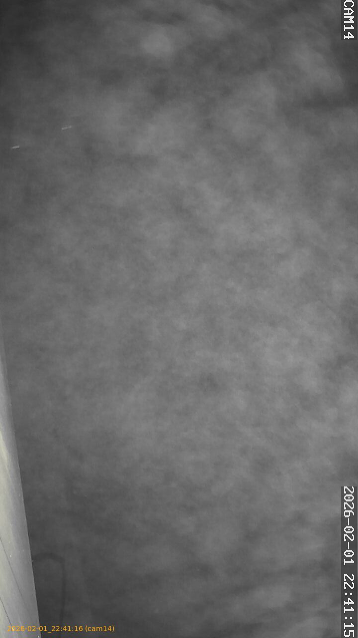 thumbnail_20260201224116