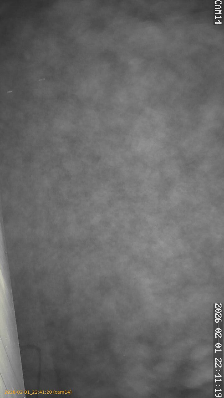 thumbnail_20260201224120