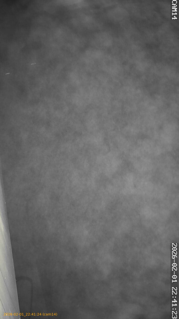 thumbnail_20260201224124