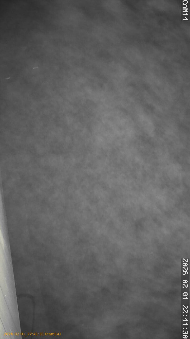 thumbnail_20260201224131