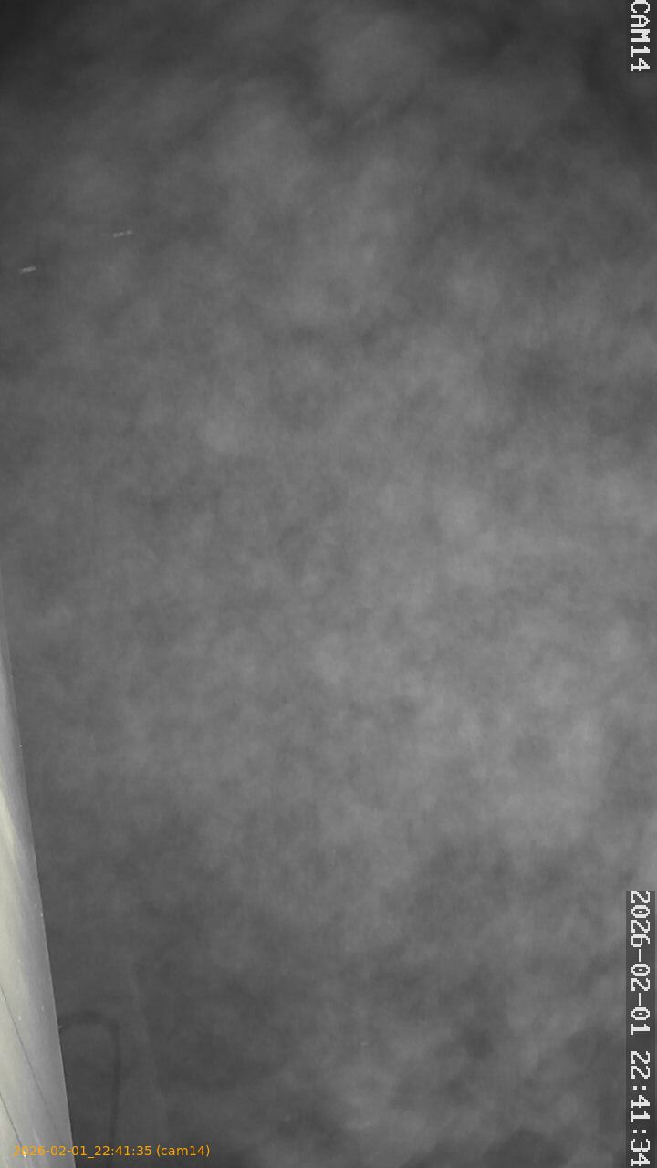 thumbnail_20260201224135