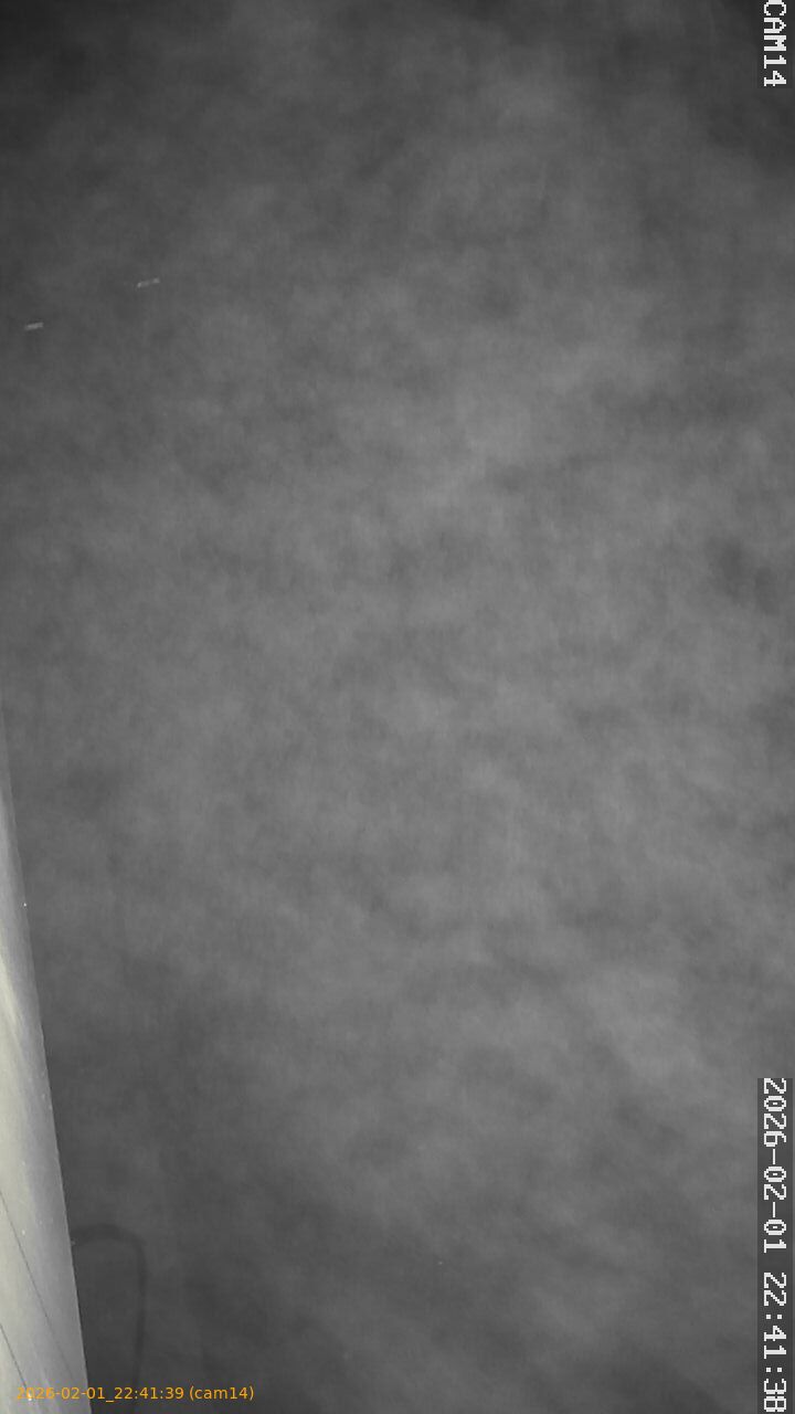 thumbnail_20260201224139