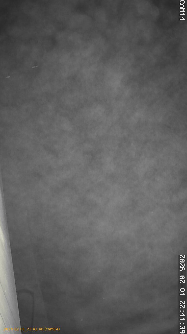 thumbnail_20260201224140