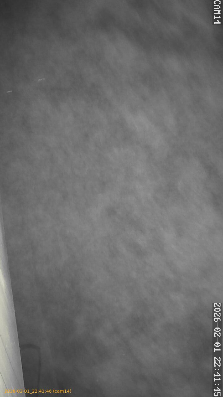 thumbnail_20260201224146