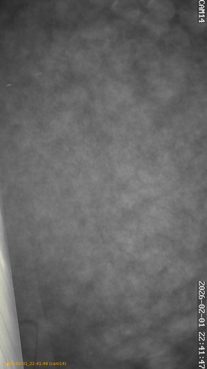 thumbnail_20260201224148