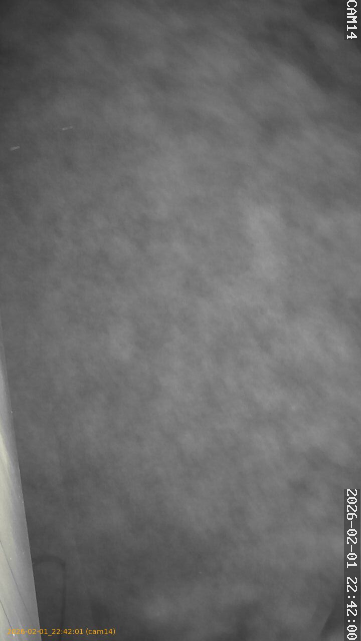 thumbnail_20260201224201