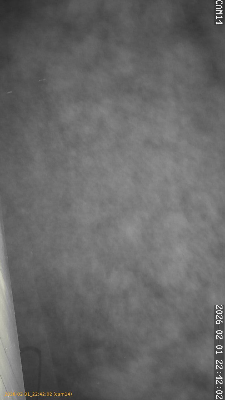 thumbnail_20260201224202